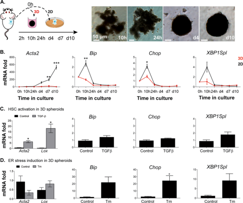 Cell Death and Disease 2019